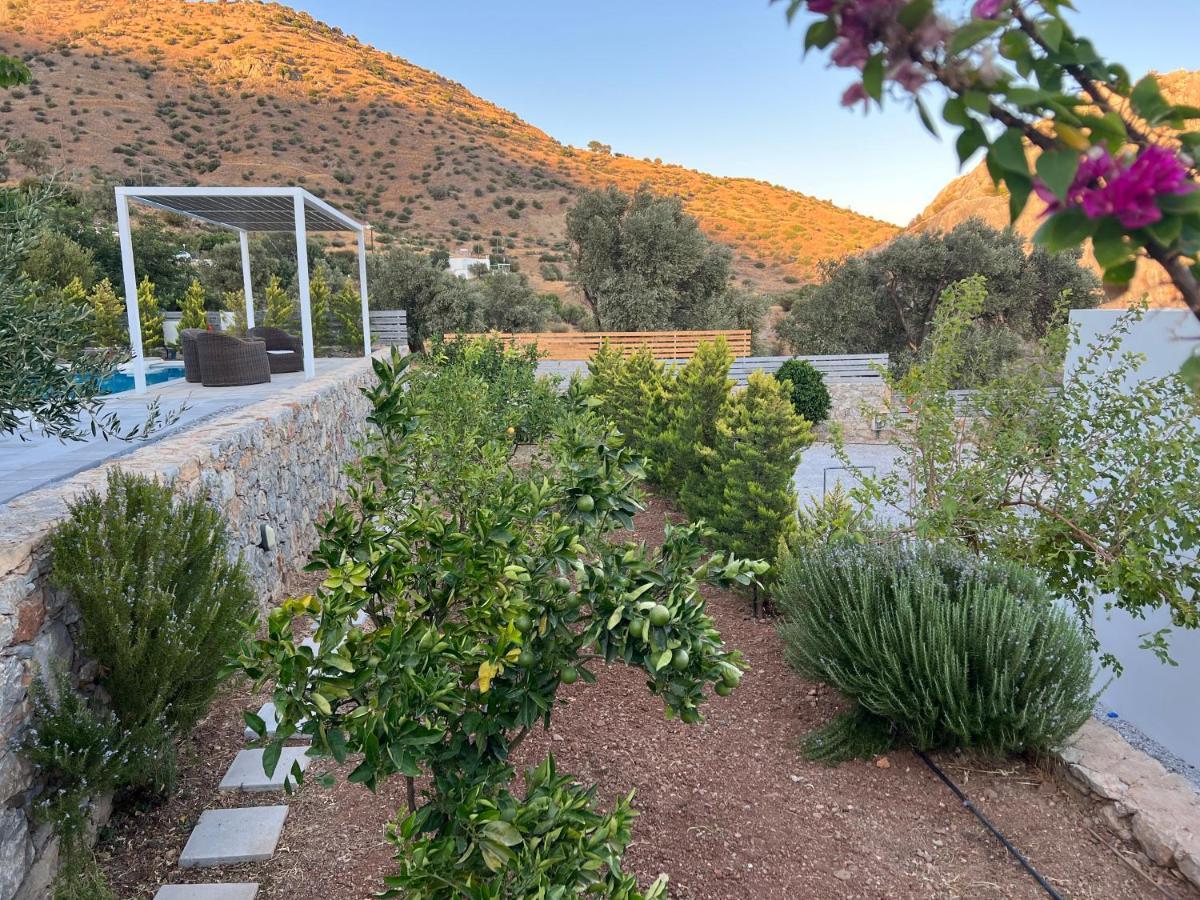Evgoro Luxury Suites Αγία Γαλήνη Εξωτερικό φωτογραφία